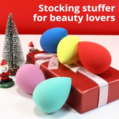BEAKEY Makeup Sponge Set 5 Pack Micro Porous Low Absorption Soft Latex Free Foundation Beauty Sponges & Blenders for Powder Cream, Stocking Stuffers for Women