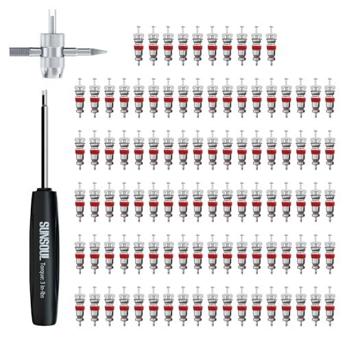SUNSOUL 102PCS Schrader Valve Cores Kit with 4-Way Valve Core Removal Tool