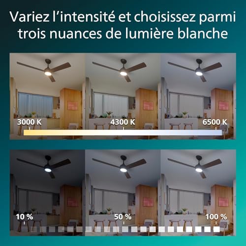 Ventilateur de plafond avec LED télécommande PHILIPS Civx 3 pales 2500 lumens - 7