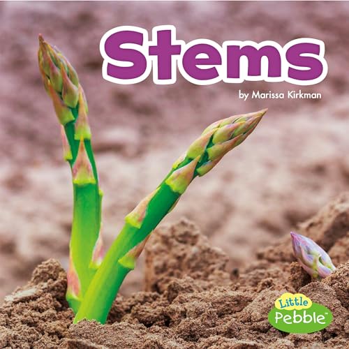 Stems by Marissa Kirkman episode artwork