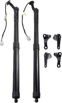 Electric Tailgate Struts Shock Power Liftgate Rear Hatch Trunk Lift Support Replacement for 2015-2017 Lexus NX200t NX300h Part# 6891079016, 6892079016