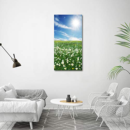 Impression sur Verre Acrylique pour Agrandir l'Espace | Déco Salon Vert