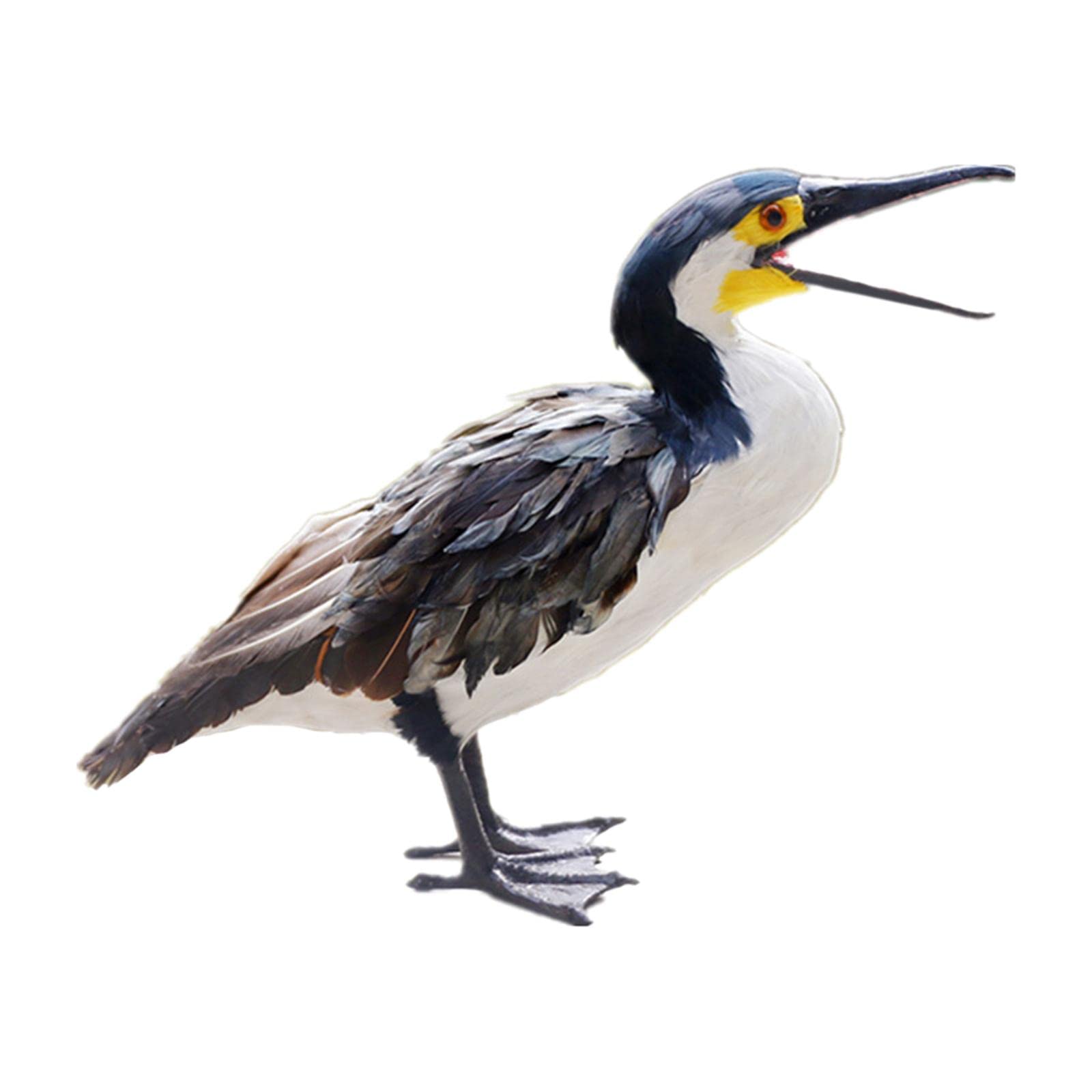 Realistische künstliche gefiederte Kormoran Statue Garten Schrank Heimdekoration Kormoran Statue Kunstsammlung
