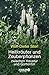 Produktbild Heilkräuter und Zauberpflanzen: zwischen Haustür und Gartentor