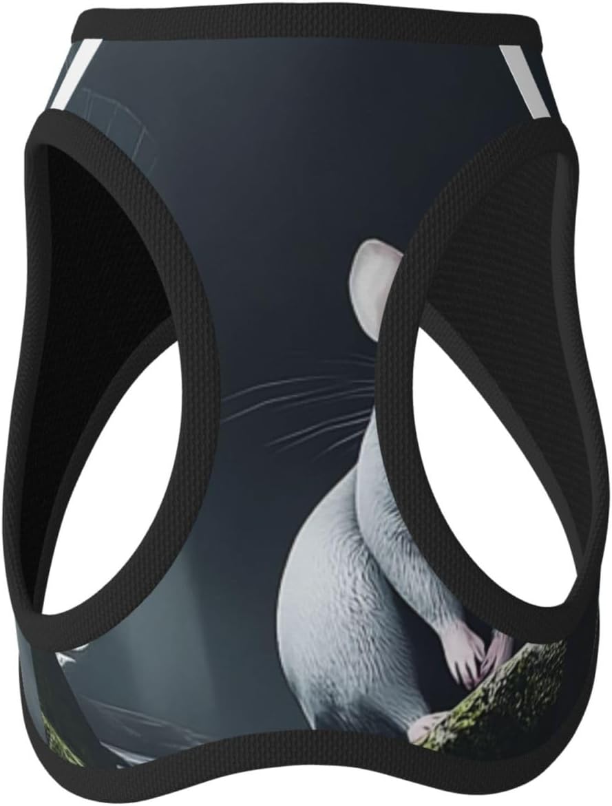 Cowardly Mouse Pet Vest Small Size Dog Harness and Leash Set for Training, Reflective & Adjustable with Accessories Medium
