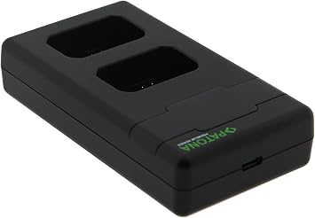 PATONA NP-FW50 - PD Performans pil şarj cihazı (1000 mA) USB-C mini çift LCD - PD/QC özellikli (161964)