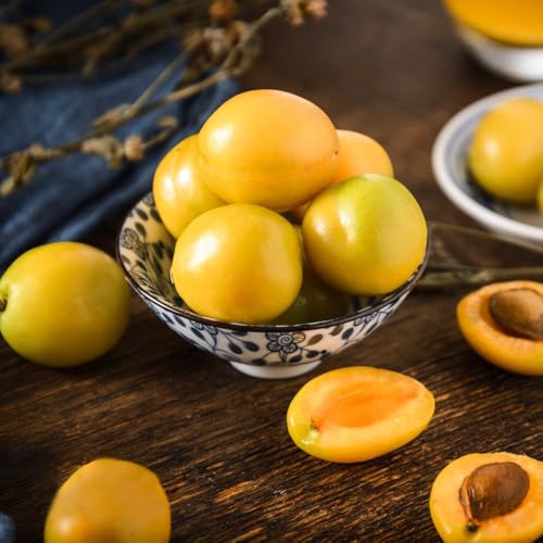 2 piezas semillas de albaricoquero, semillas de frutas, fáciles de plantar Plantas de jardín, regalos para los amantes del jardín. Cultivo de semillas, plantas para exterior. frutales