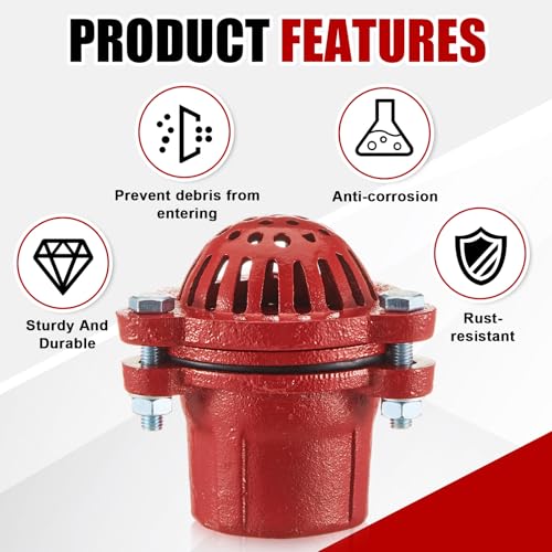 Image of MorningRo 2 Inch Cast Iron Foot Valve NPT Painted Carbon Threaded Foot Valve for Water Service Only