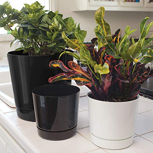 Novelty Majestic Full Depth Round Cylinder Pot, Glossy Black, 8-Inch (10088) #TOP5