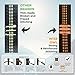 Wise Owl Outfitters Hammock Straps for Trees – 10ft Heavy-Duty Tree Hanging Kit with Carabiners, 38 Loops & Hooks – Essential Hammock Accessories for Camping
