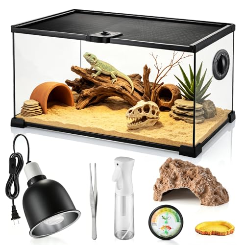 HSUCCCT 10 Gallon Reptile Terrarium Glass Kit 20 x 12 x 10 Starter Habitat for Tarantula Succulents Frogs Gecko Snake or Hermit Crabs Tank with Escape-Proof Locking Lid