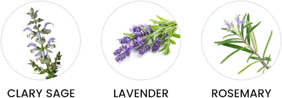 GLASSY HAKKO OIL WATER｜グラッシー フェイシャルオイルローション