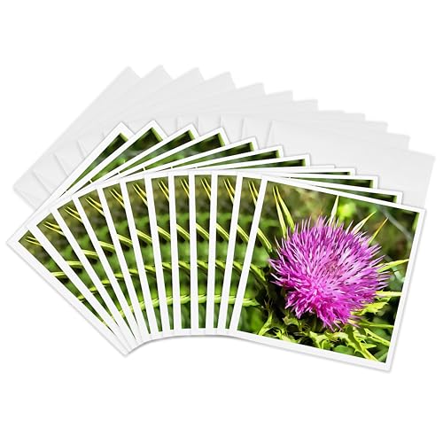 Cartes de vœux chardon violet : ne manquez plus jamais de cartes pour vos messages