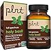 Holy Basil a