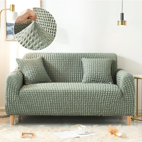 \t@Jo[ \t@[Jo[ }`Jo[ It Xgb`f Lkǂ _炩 ӂӂ kfUC \t@[ی 􂦂   DG芴 lGKp (O[, 2l|)