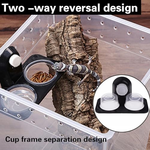 JVHLOV 2PCS Reptile Feeder, Reptilien Futternapf Saugnapf Plastik Wasser- und Futternapf, Anti-Flucht Eidechsen Futterschale, für Eidechse, Chamäleon, Skorpion, Gecko, Leguan