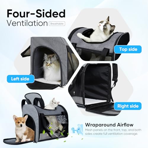 MAIYADUO Katzenrucksack mit Netzfenster - Faltbarer Haustierträger für Katzen & Kleine Hunde (4-8 kg) mit Reißverschluss-Sicherheitsverschluss, Sicherheitsleine, Ideal für Reisen & Spaziergänge