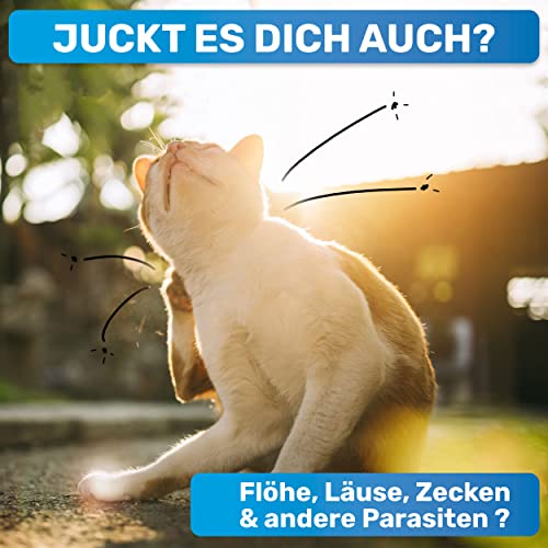 BluePet Robuster Flohkamm & Läusekamm Für Hunde & Katzen I Flöhe, Läuse & Zecken entfernen I Sanfte abgerundete Zinken I Als feiner Hundekamm, Staubkamm, Nissenkamm nutzbar