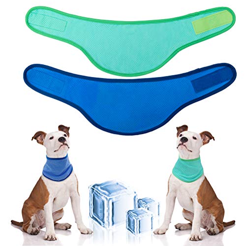 Best Cooling Vests For French Bulldogs Just HEALTHIER Frenchies!