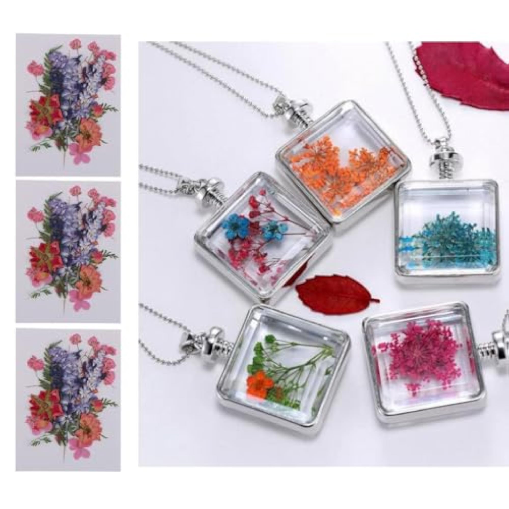 3 Multiple Dried Flowers for DIY Arts Crafts