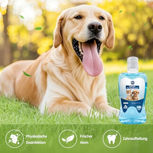 Pcpetclear - Mundwasser Für Hunde Und Katzen - Zahnsteinentferner - Trinkwasserzusatz - Schützt vor Plaque Und Zahnstein - Frischer Atem - Keine Bürste Erforderlich - 380ml Stück (1)