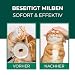Silberkraft Milbenspray Katzen 500ml - Effektives Anti Milben Spray für Katzen - Milbenbefall behandeln Ohrmilben Räudemilben Katzenmilben