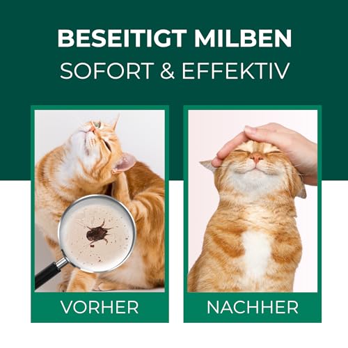 Silberkraft Milbenspray Katzen 500ml - Effektives Anti Milben Spray für Katzen - Milbenbefall behandeln Ohrmilben Räudemilben Katzenmilben