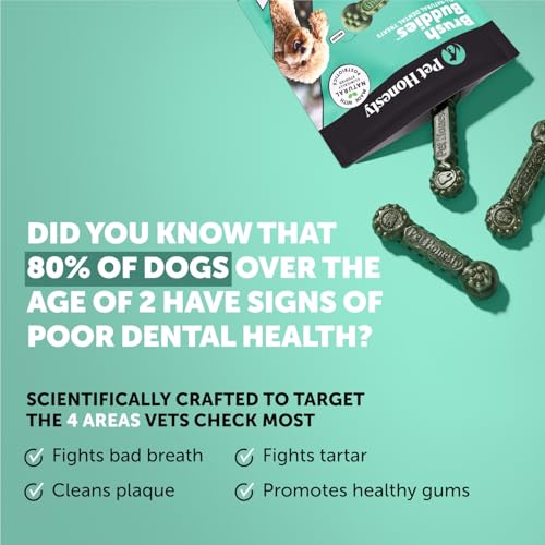 Image of Pet Honesty Dog Dental Care Virtual Bundle - Breath Freshener Dental Powder for Large Dogs (60 Servings) + Brush Buddies Dental Sticks for Small Dogs (25 Ct) - Teeth Cleaning, Plaque & Breath Support