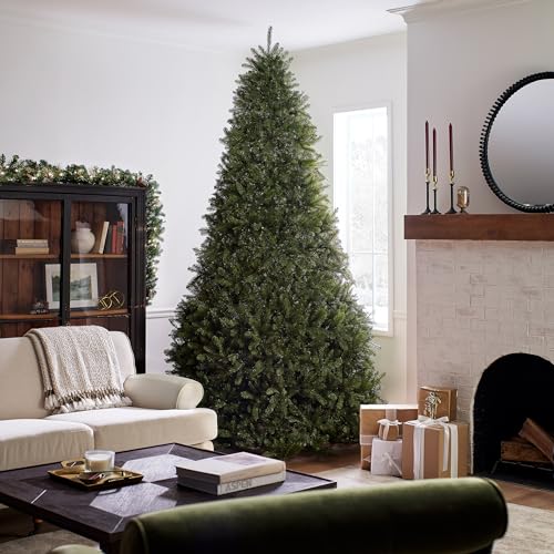 Image of National Tree Company 10 ft Unlit Dunhill Fir Full Artificial Christmas Tree, 5,090 Tips, Includes Stand, Green
