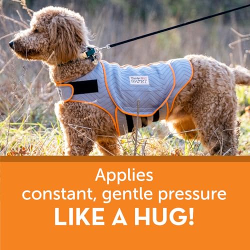 Thundershirt Dogs Clothing Thundershirt Dog Anxiety Jacket, Platinum, XXL US