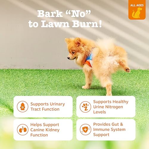 Image of Zesty Paws Stay Green Bites for Dogs - Grass Burn Soft Chews for Lawn Spots Caused by Dog Urine - with Cranberry for Urinary Tract & Bladder - Beef - 90 Count