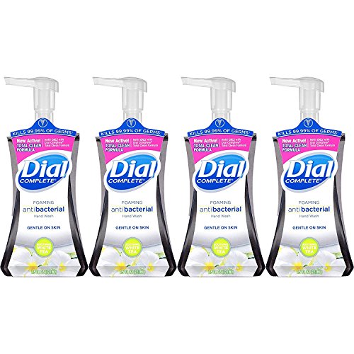 Dial Complete Foaming Antibacterial Hand Wash, Soothing White Tea, 7.5 Ounce, 2 Count, (Pack of 4)