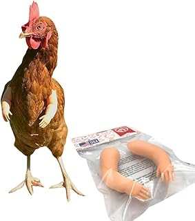 Baby Chicken Arms – 3D Printed Strong Muscle Arms and Dinosaur Claws Funny Chicken Toy for Birds - Adjustable Fit, Eye-Catching Design - Made in USA
