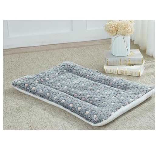 12.6 * 9.84 inch Warm and Soft Cute Bed Blankets in Winter