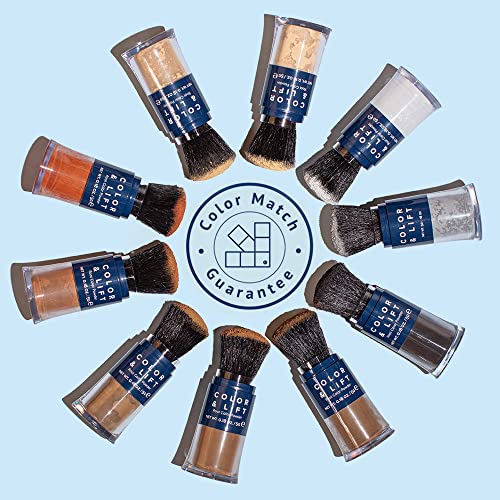 Color & Lift With Thickening Powder - Available In 8 Hair Colors - Root Cover Up - Temporary Hair Coloring Brush That Refreshes Hair (Light Blonde) #TOP5