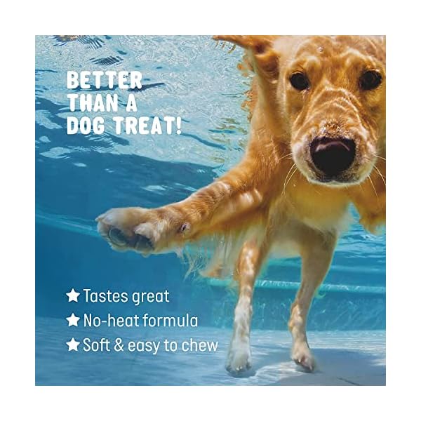 Omega 3 Fish Oil for Dogs Soft Chews 90 ct – Omega 3 for Dogs with Biotin & Vitamin E for Shiny Coat – Dog Skin and Coat Supplement for Itchy, Dry Skin – Shedding Omega 3 6 9 Oil for Dog Omega 3 Fish Oil for Dogs Soft Chews 90 ct – Omega 3 for Dogs with Biotin & Vitamin E for Shiny Coat – Dog Skin and Coat Supplement for Itchy, Dry Skin – Shedding Omega 3 6 9 Oil for Dog