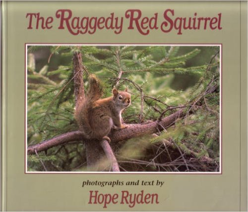 The Raggedy Red Squirrel: Ryden, Hope: 9780525674009: Amazon.com: Books