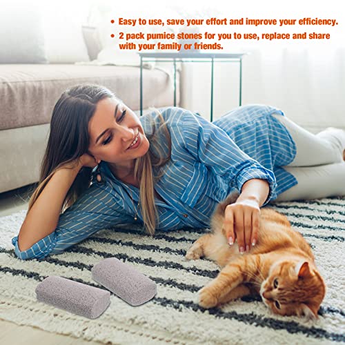 Xuniea 2 Stücke Haustier Haarentfernung Bimsstein Fußpflege Werkzeug Hundefell Entfernung Werkzeug Trimmstein für Hunde Auto Couch Möbel Bettwäsche Leicht zu Reinigen (Klein)