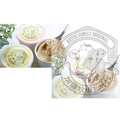 [彩の国優良ブランド]加藤牧場 ノンホモ低温殺菌牛乳を使用した甘みとコクが感じられるジェラート9個セット スイーツ お菓子