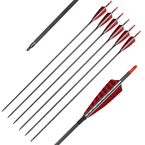 Pure Carbon Arrows 30 Inch 600 Spine Turkey Feather Fletching Screw-in Field Points Targeting Hunting Traditional Long Bow Arrows for Recurve Bow Compound Bow (Pack of 6)