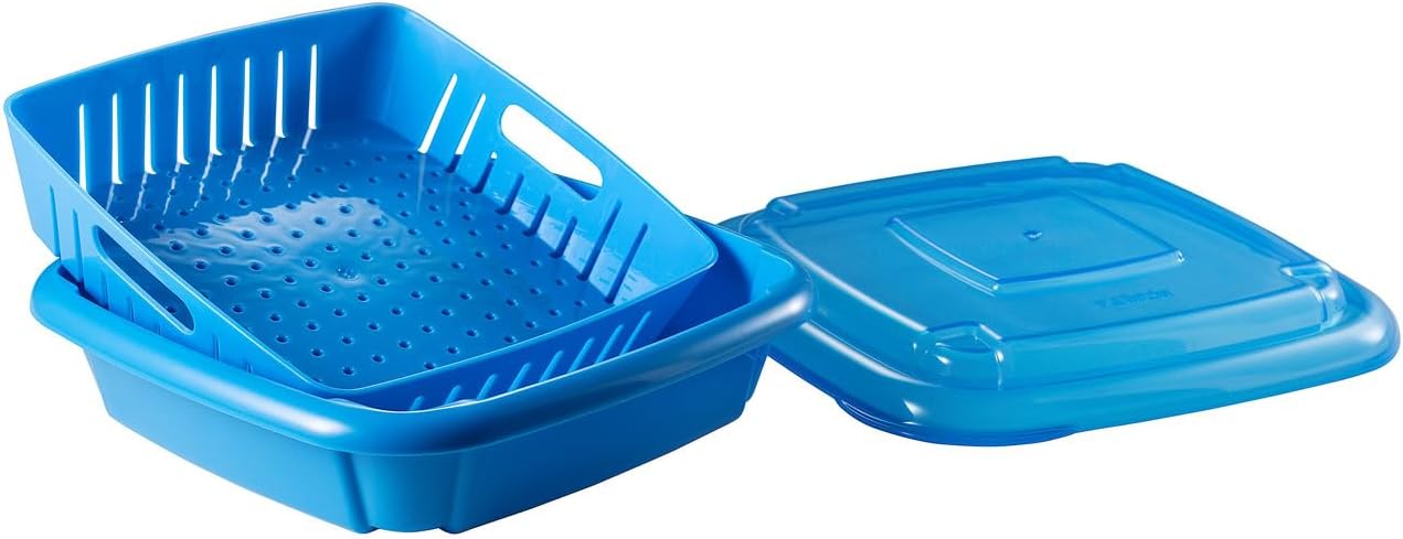 Hutzler 373BL Bitty Berry Box Keeper, Plastic, Blue