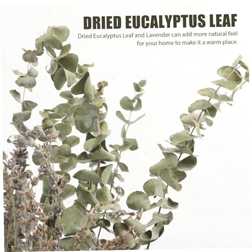 Set de Hojas Secas de Eucalipto y Lavanda para Decoración miniatura 2
