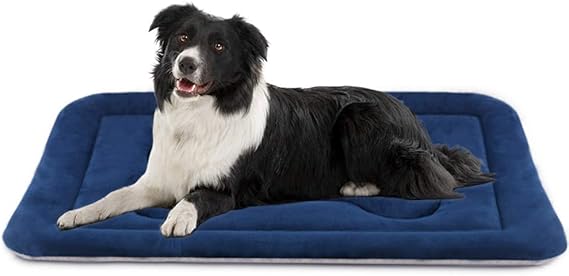 Dog crate mat 36 inch Clearance