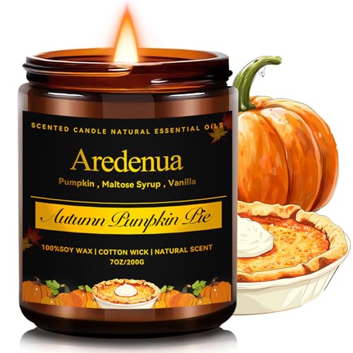 Pumpkin Pie Candles – Holiday Winter Scented Candles, Warm Spiced Pumpkin Aroma for Christmas Home Décor, Cozy Seasonal Candle Gift for Women & Men, Long-Lasting Soy Wax Candle Pumpkin Pie B