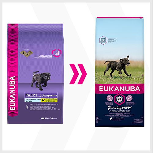 Eukanuba Welpenhundefutter für große Hunde, reich an frischem Hühn, 12 kg
