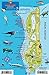 Grand Turk Dive Map - Turks & Caicos Reef Creatures Guide Franko Maps Waterproof Fish Card