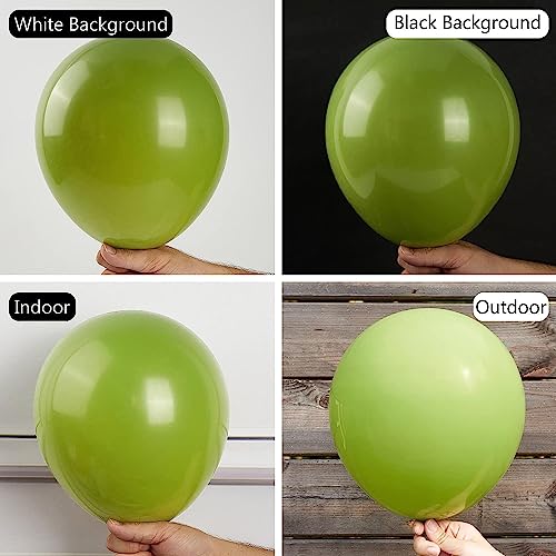 Image of 50 Pcs Retro Balloons Made of Strong Rubber (Retro Green)