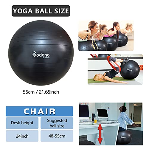 Sodeno Newエクササイズボール、45cm / 55cm / 65cm / 75cmヨガフィットネスピラティスボール、クイックポンプ、アンチバーストおよび滑り止めワークアウトバランス出産ボール、ホームジムおよびオフィス用 2枚目