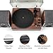 Crosley CR7501A-CL Nocturne 2-Speed Bluetooth Record Player Turntable with Matching Stereo Speakers, Charcoal