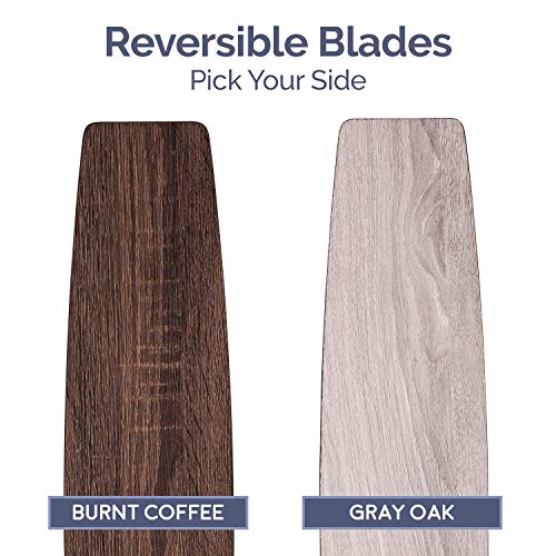 Prominence Home Atlas, 44 Inch Modern Indoor LED Ceiling Fan with Light and Remote Control, Dual Mounting Options, Dual Finish Blades, Reversible Motor - 51468-01 (Pewter) - Image 4